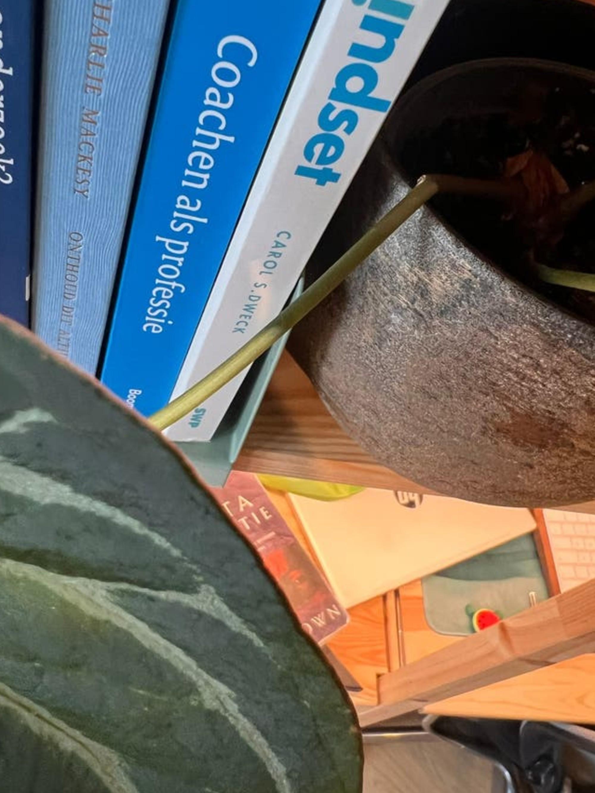 Anthurium King of Spades cutting